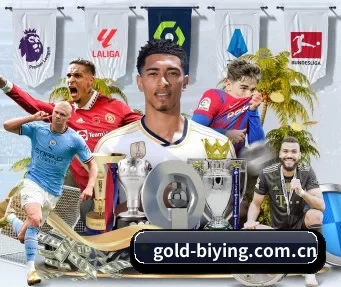 国际化进程 - 全球化战略取得重大进展,千万用户共同见证gold-biying.com.cn成长。
